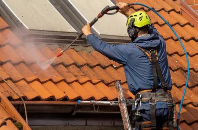 Démoussage et hydrofuge de toiture à Geruge